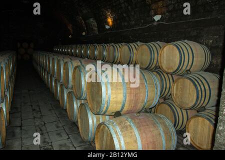 Oak wine barrels in the wine cellar. Stock Photo