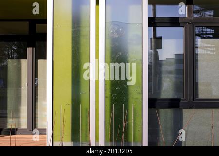 Details,bioreactor facade,BIQ,algae building,IBA,International Building Exhibition,Wilhelmsburg,Hamburg,Germany Stock Photo