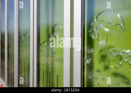 Details,bioreactor facade,BIQ,algae building,IBA,International Building Exhibition,Wilhelmsburg,Hamburg,Germany Stock Photo