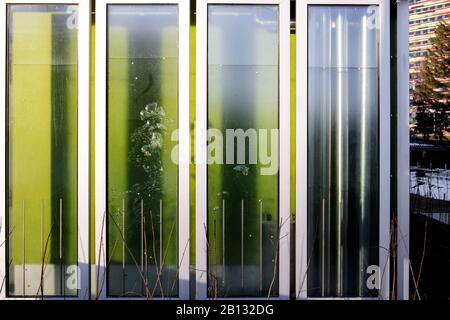 Details,bioreactor facade,BIQ,algae building,IBA,International Building Exhibition,Wilhelmsburg,Hamburg,Germany Stock Photo