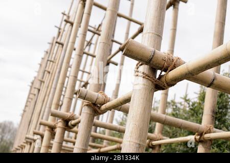 Bamboo Scaffolding,IGS,International Garden Show,Wilhelmsburg,Hamburg,Germany Stock Photo