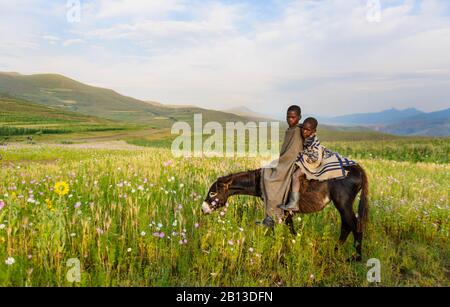 Basotho boys,Lesotho,Africa Stock Photo