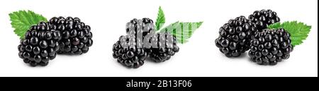blackberry with leaf isolated on a white background closeup. Set or collection. Stock Photo