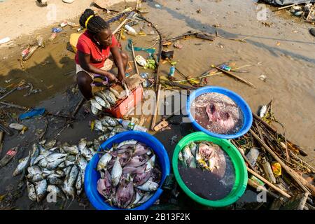 Woman preparing fish for sale,Angola,Africa Stock Photo