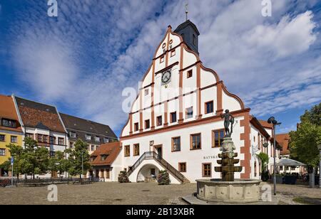 Town Hall at the market in Grimma,district Leipzig,Saxony,Germany Stock Photo