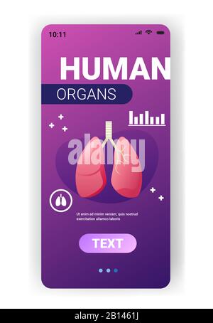 lungs structure human internal organ anatomy biology healthcare medical concept respiratory breathing system smartphone screen mobile app vertical copy space vector illustration Stock Vector