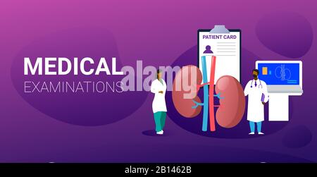 doctors team examining human kidneys medical consultation internal organ inspection examination treatment concept horizontal full length vector illustration Stock Vector