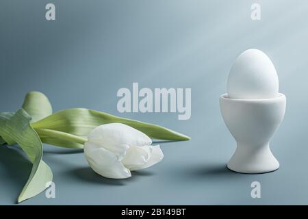 Concept spring, Easter. white egg on the stand and white tulip. with copy space Stock Photo