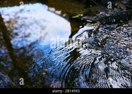 Water surface is partly smooth reflecting a tree, and partly with ripples as water flows at a creek in a park in Windsor, California. Stock Photo