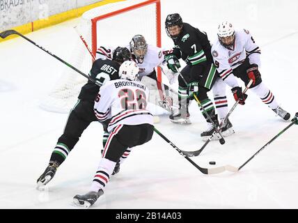 St. Cloud St. Huskies forward Zach Okabe (14) plays the puck in front ...