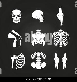 White human skull and bones - medical diagnostic on chalkboard. Vector illustration Stock Vector