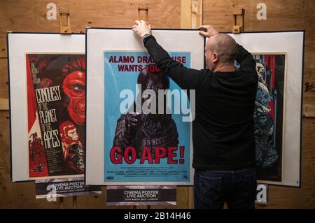 Prop Store poster consultant Mark Hochman adjusts a Mondo poster for Alamo Drafthouse, which is part of a set of six posters for the Planet of the Apes movies (1968 - 1973) (estimate Â£500 - 700) during a preview for the Prop Store's forthcoming cinema poster auction. Stock Photo