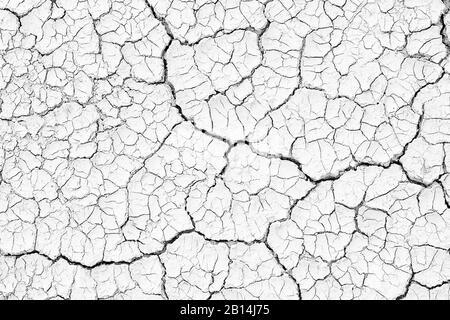 Structure cracked soil ground earth texture black and white background, desert cracks,Dry surface Arid in drought land floor has many grooves and