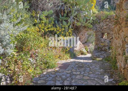 Taormina - The path among the spring mediterranean flowers. Stock Photo