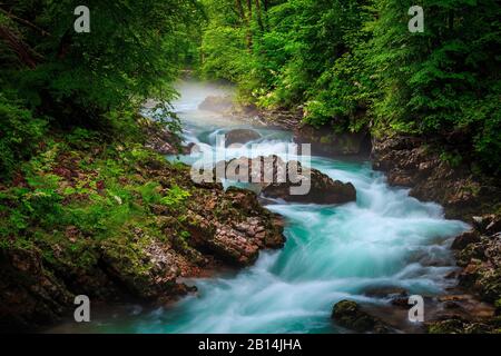 Fantastic and well known touristic place near Bled. Stunning Vintgar gorge and emerald color Radovna river in the deep damp green forest, near Bled, G Stock Photo