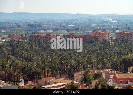 Looking out over the city of Orihuela with buildings and palm trees, Costa Blanca, Spain Stock Photo