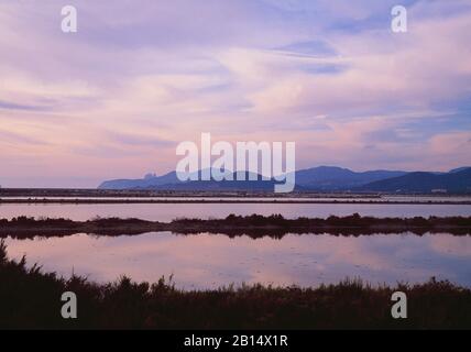 Landscape at dusk. Ses Salines, Ibiza island, Balearic Islands, Spain. Stock Photo