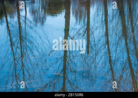Reflections on water. Stock Photo