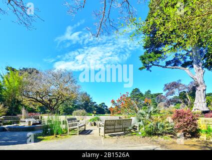 San Francisco Botanical Gardens, San Francisco, California, USA. Stock Photo