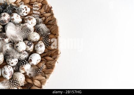 Quail eggs and feathers in a basket close up. Natural healthy food and organic farming, easter and spring concept. Stock Photo