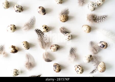 Quail eggs and bird feather on white background. Collection of quail eggs, easter pattern. Flat lay, top view. Easter concept. Stock Photo
