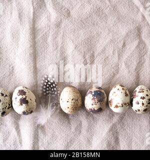 Easter quail eggs and feathers on natural linen background. Easter background. Easter and healthy organic food concept. Stock Photo