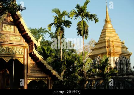 Chiang Mai Thailand  - Temple area Chiang Man golden roofs in early morning Stock Photo
