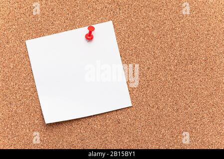 Blank Paper, hanging on the Board as Cork Tree with a red Pin, concept, office Stock Photo