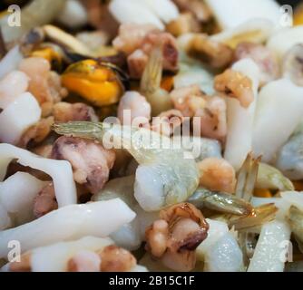 Seafood Mix. Squid, shrimp, mussels and octopus. Stock Photo