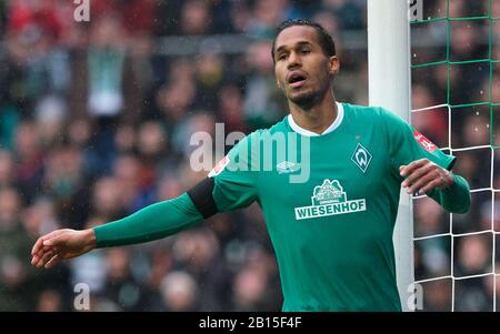Bremen, Germany. 22nd Feb, 2020. Football: Bundesliga, Werder Bremen - Borussia Dortmund, 23rd matchday at the Weser Stadium. Werder's Theodor Gebre Selassie raises his arms. Credit: Peter Steffen/dpa - IMPORTANT NOTE: In accordance with the regulations of the DFL Deutsche Fußball Liga and the DFB Deutscher Fußball-Bund, it is prohibited to exploit or have exploited in the stadium and/or from the game taken photographs in the form of sequence images and/or video-like photo series./dpa/Alamy Live News Stock Photo