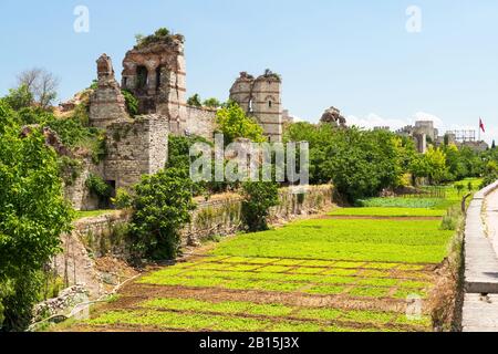 The ruins of famous ancient walls of Constantinople in Istanbul, Turkey Stock Photo