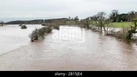 Floods from the River Wharfe near Tadcaster covering riverside meadows following Storm Dennis Stock Photo