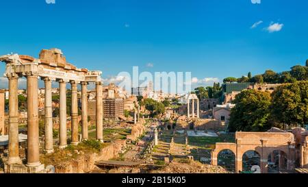 Panoramic view of the Roman Forum in Rome, Italy. Roman Forum is one of the main tourist attractions in Europe. Scenic ruins of the Roman Forum in sum Stock Photo