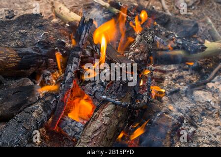 Bonfire fire close-up as a blur background.  Stock Photo