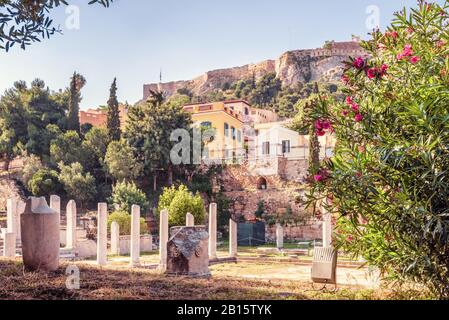 Beautiful flowers on the Roman Agora in summer, Athens, Greece. This place is one of the main landmarks of Athens. Acropolis in the distance. Scenic v Stock Photo