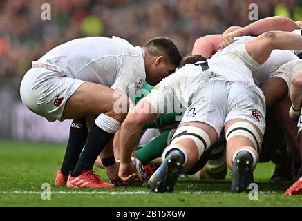 Twickenham, United Kingdom. 23rd Feb, 2020. Ben Youngs (England and Leicester Tigers) puts the ball unto the scrum. England V Ireland. Guiness six nations. Twickenham Stadium. Twickenham. London. UK. Credit Garry Bowden/Sport in Pictures/Alamy Live News. Credit: Sport In Pictures/Alamy Live News Stock Photo