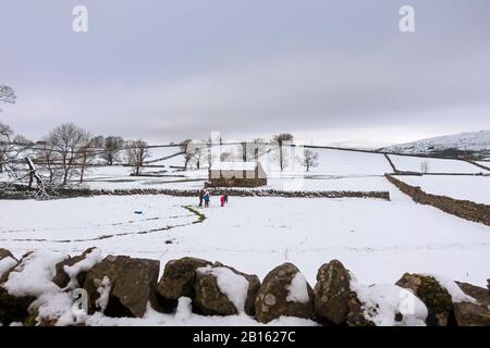 Snowy day in Wensleydale, Yorkshire Dales