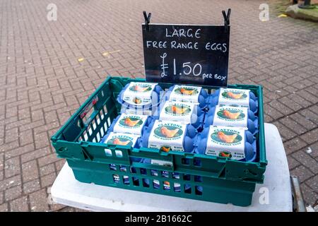 Plastic crate filled with boxes or large free range eggs for sale packed in 6's at an outdoor market Stock Photo