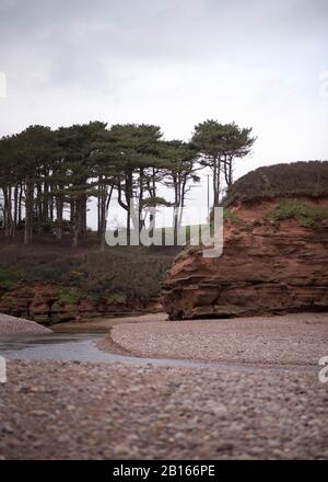 Trees and Cliff line at mouth of River Otter at Budleigh Salterton in East Devon, England, UK - Cloudy Winter Day Stock Photo