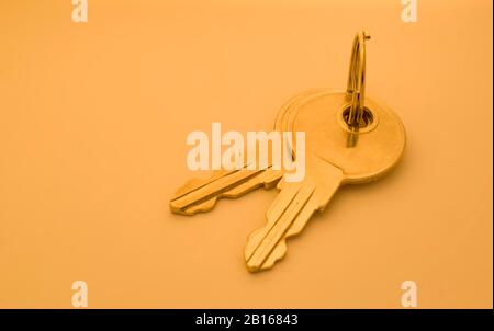 A lock is a mechanical or electronic fastening device that is released by a physical object , or by a combination thereof or only being able to be ope Stock Photo