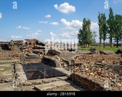 Ruins of the gas chambers of Auschwitz II Concentration Camp Stock Photo