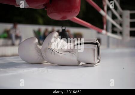 White boxing gloves on the ring flooring. Stock Photo