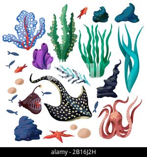 Marine life such as whale, stingray, killer whale, octopus and others isolated. Stock Vector