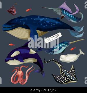 Marine life such as whale, stingray, killer whale, octopus and others isolated. Stock Vector