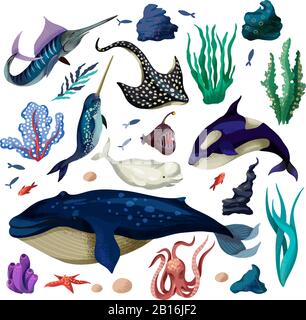 Marine life such as whale, stingray, killer whale, octopus and others isolated. Stock Vector