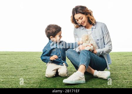 smiling mother holding Havanese puppy and son stroking it isolated on white Stock Photo