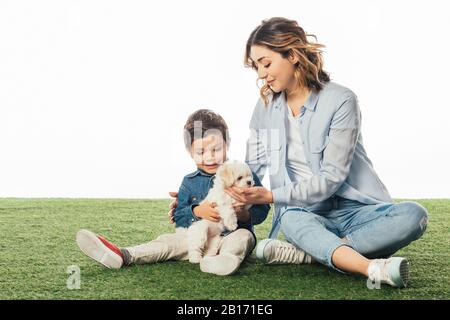 smiling mother and son holding Havanese puppy isolated on white Stock Photo
