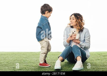 smiling mother holding Havanese puppy and looking at son isolated on white Stock Photo