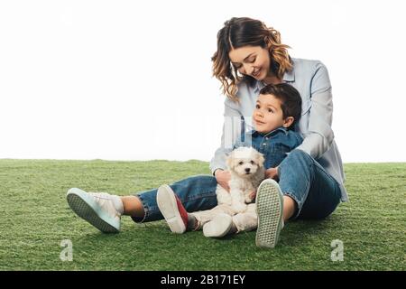 smiling mother holding Havanese puppy and looking at son isolated on white Stock Photo
