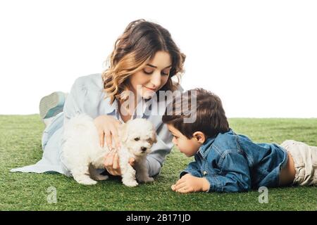 smiling mother holding Havanese puppy and son looking at it isolated on white Stock Photo